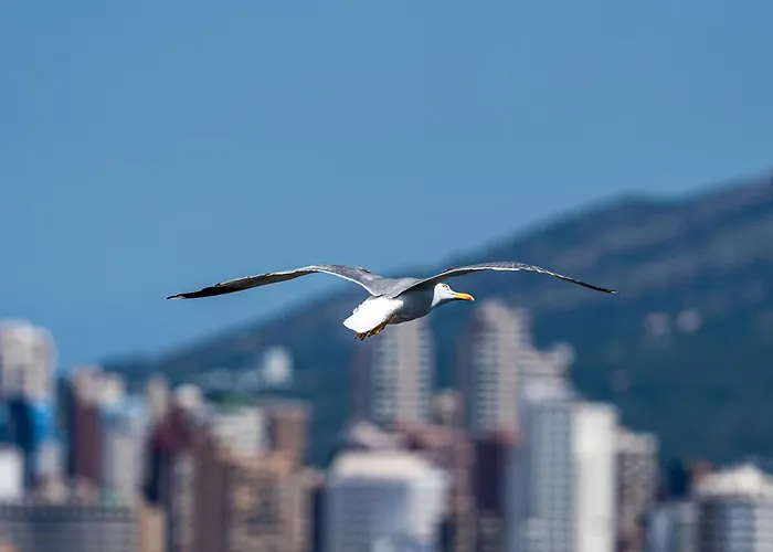 Lejlighed Sunset Drive 90210 *