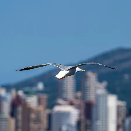 Appartement Sunset Drive 90210 *